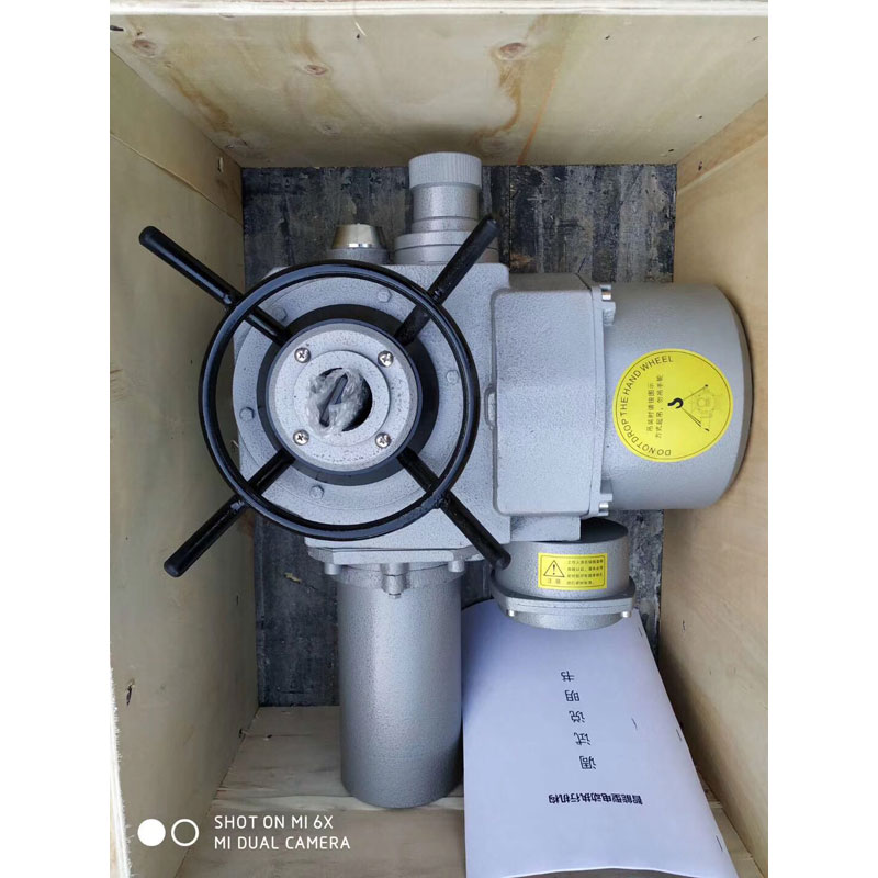 電動頭螺旋桿啟閉機